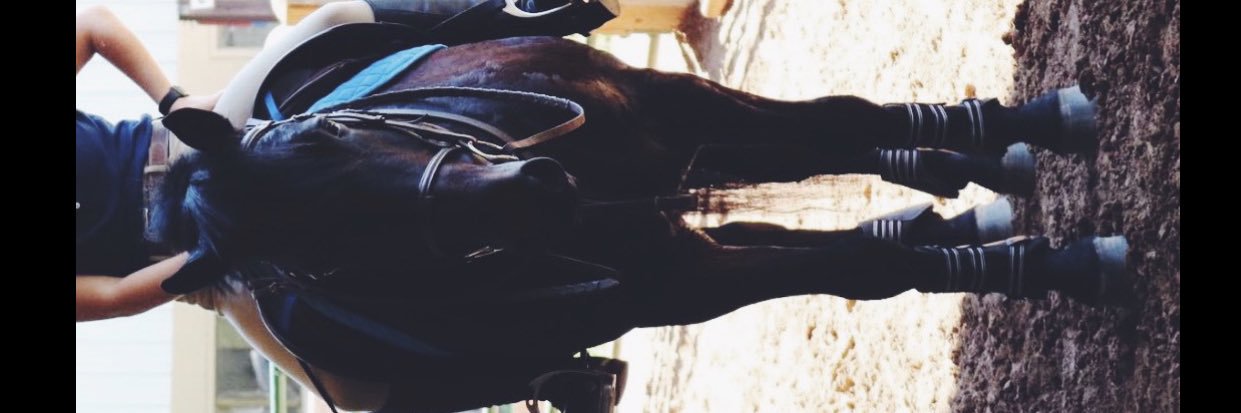 Normag01's profile banner image