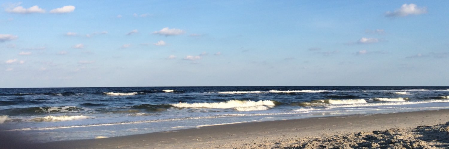 lesliecesmat's profile banner image