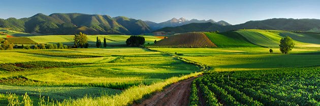 Victor Gutierrez banner