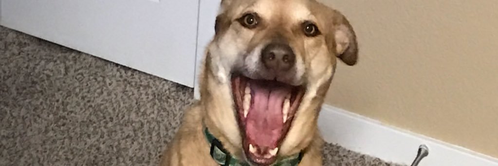 yetanothermilly's profile banner image