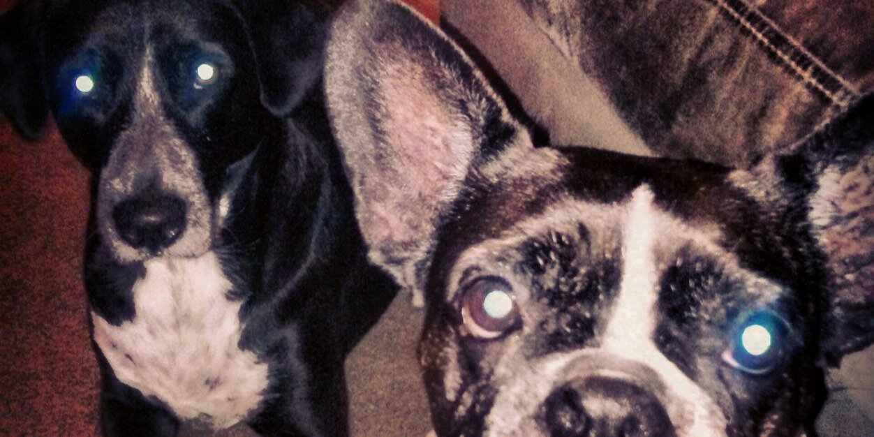 lilsolivia's profile banner image