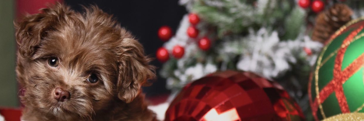 Kenzie__25's profile banner image