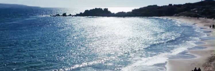 TekyScanu's profile banner image