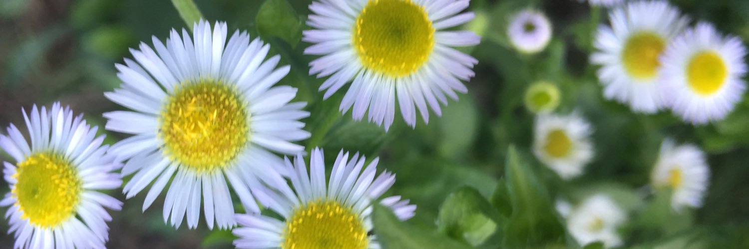 FALLEN  ↪️ ℹ️ ✝️🍸 banner