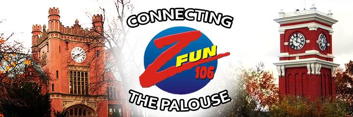 ZFUN106's profile banner image