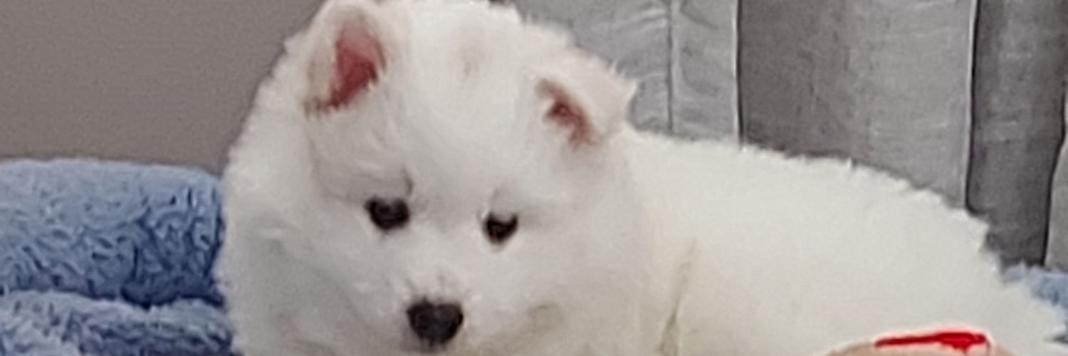 sharon34909490's profile banner image