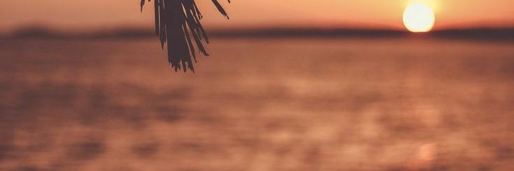 paula_m07's profile banner image