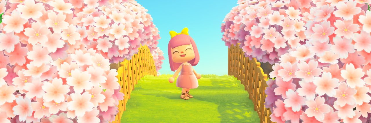 Kireevee's profile banner image