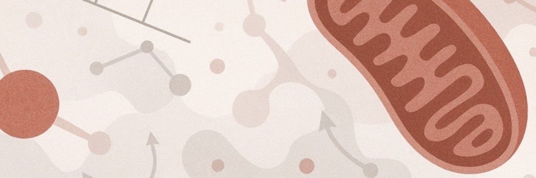 Nick Arp banner