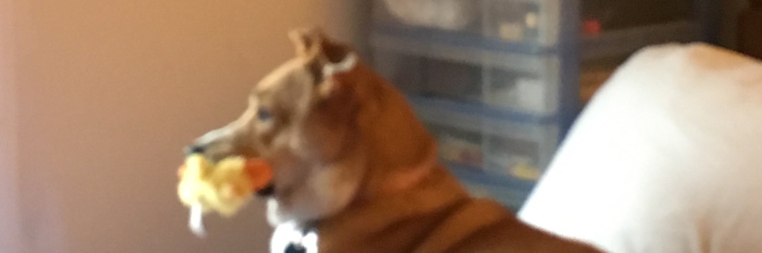 kelllac18's profile banner image