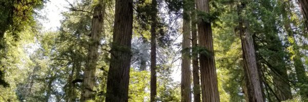 freshmograph Profile Banner