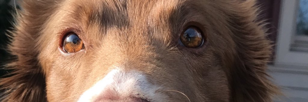 madelinew_20's profile banner image