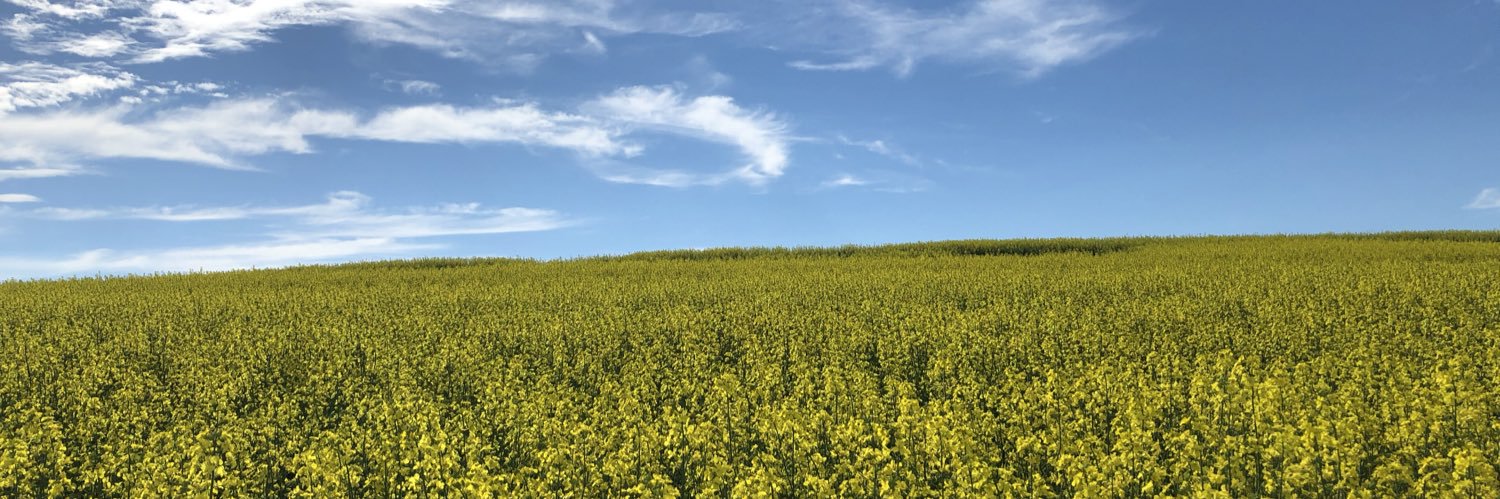 Ryan Service banner