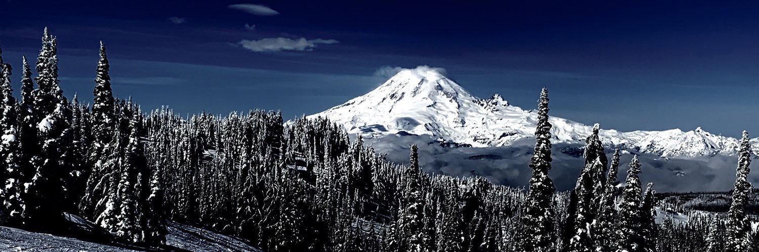 SHS Viking Athletics banner