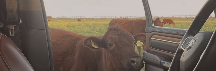 BarbaraArizpe's profile banner image