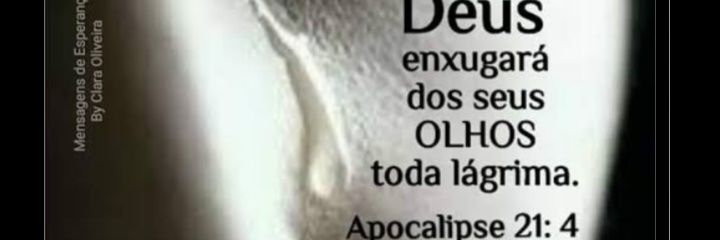 sandyluty's profile banner image