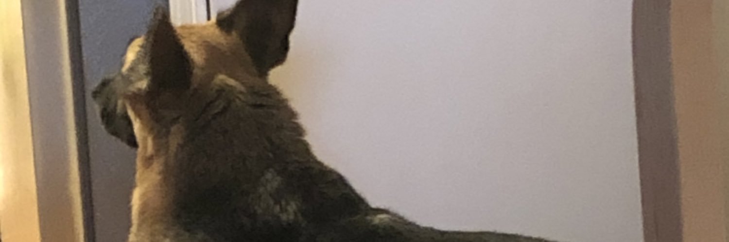 EricDean29745's profile banner image