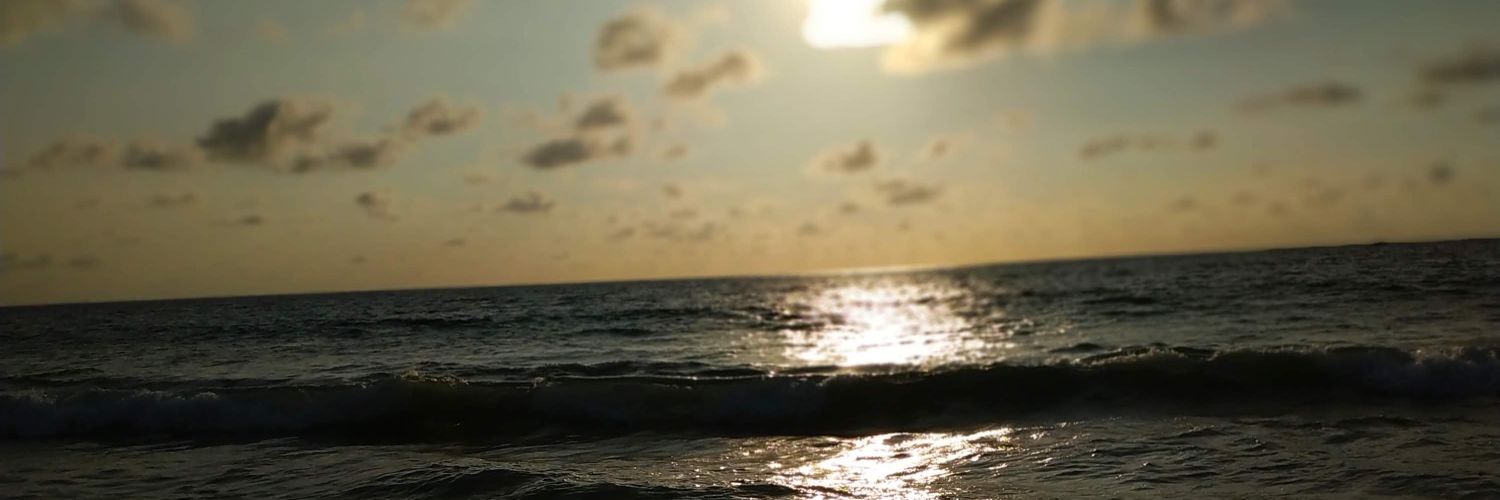 Andreita0795's profile banner image