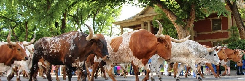 Amarillo Chamber banner