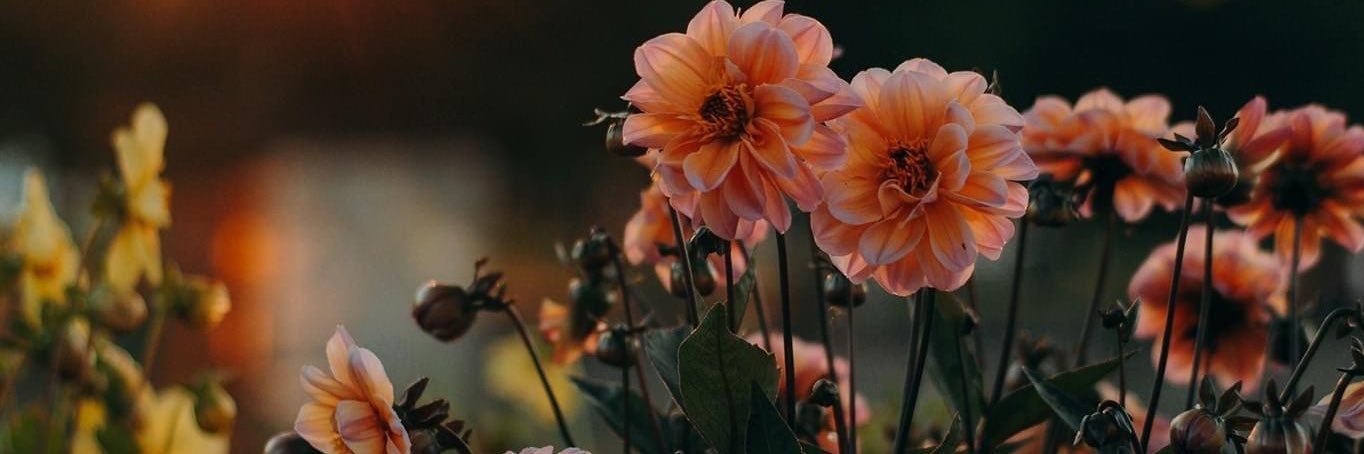 MissJay_88's profile banner image