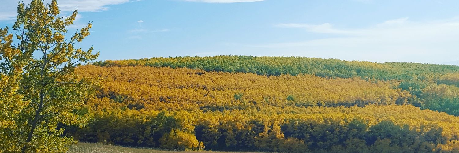 neetspawar's profile banner image