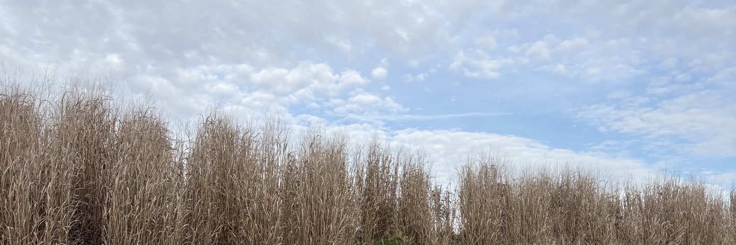 appleprussell's profile banner image