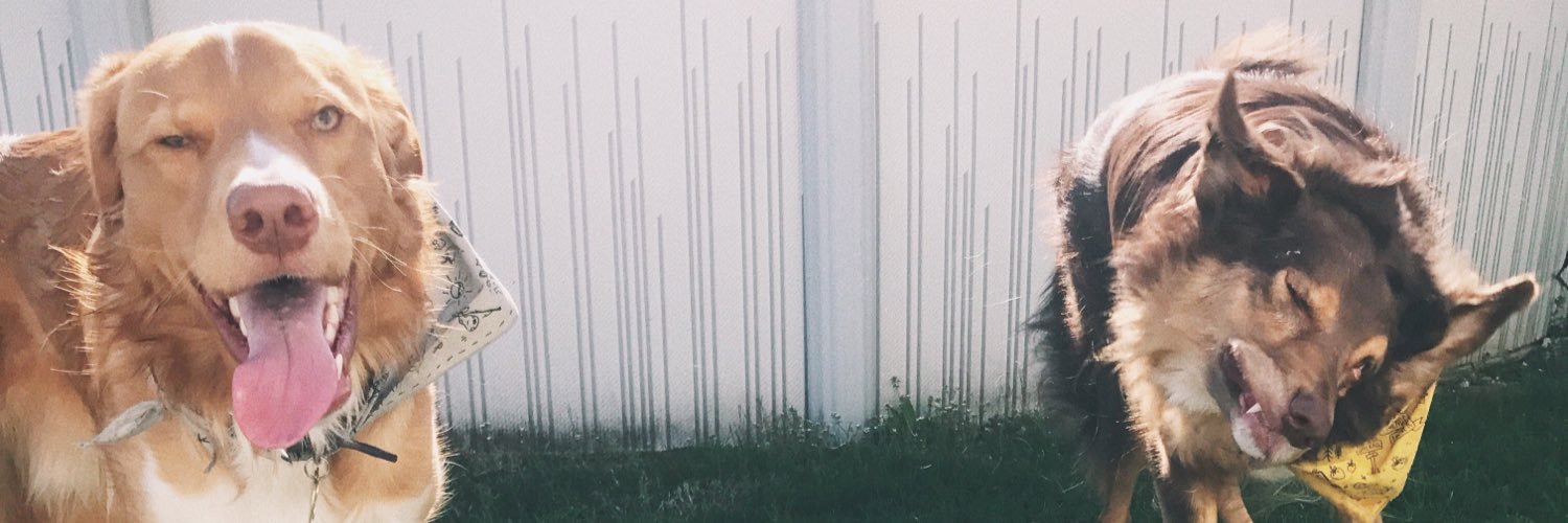 samdesantiss's profile banner image