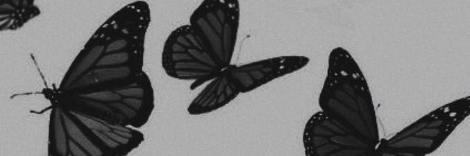 _ansleighmc's profile banner image
