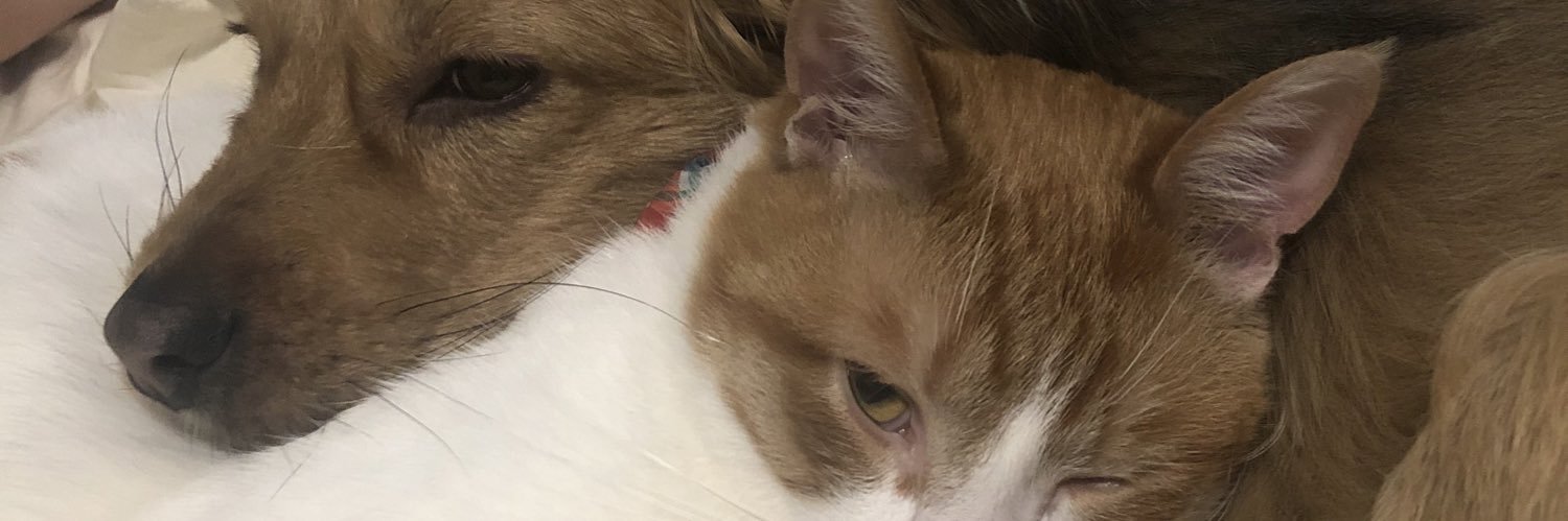 nelsonae91's profile banner image