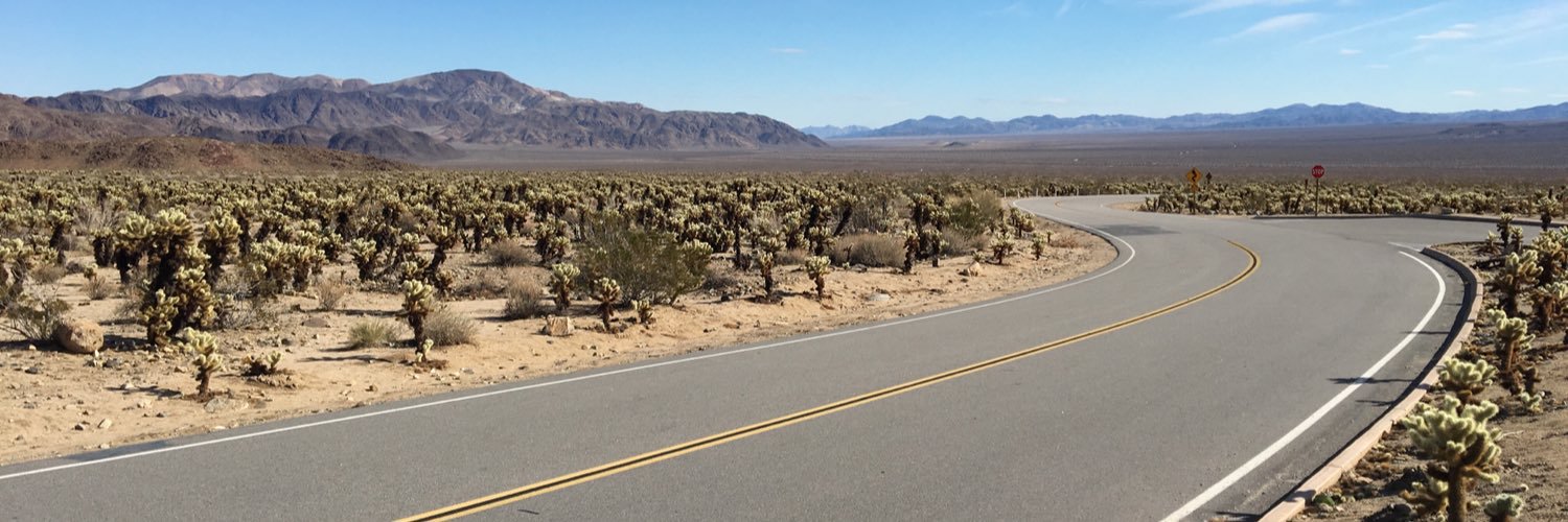 realBrandonLap's profile banner image