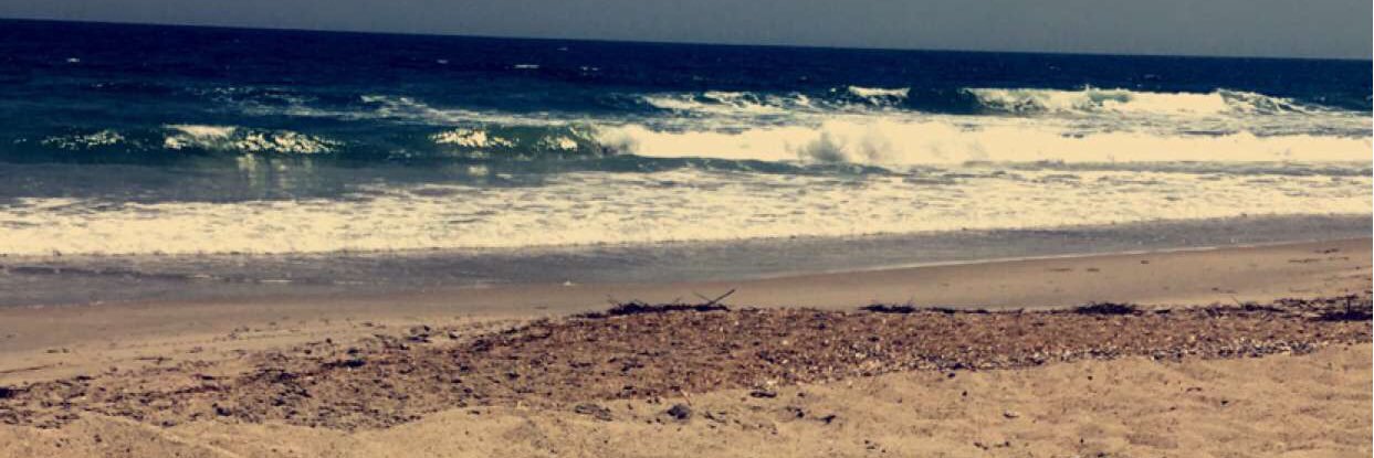 Liz_Beckert's profile banner image