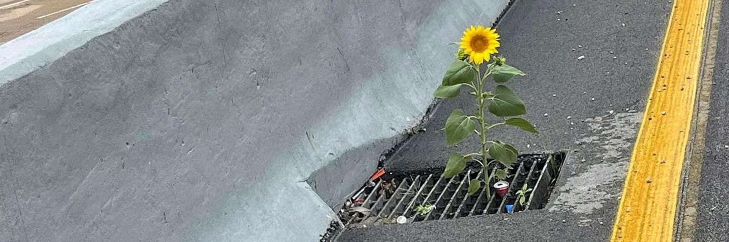 DiajengLrst's profile banner image
