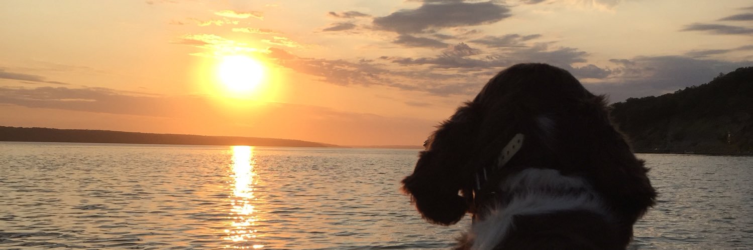 v_ballKL's profile banner image