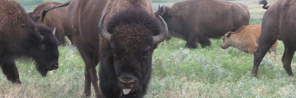 John C. Byler banner