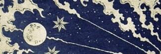 Holly Schneider banner