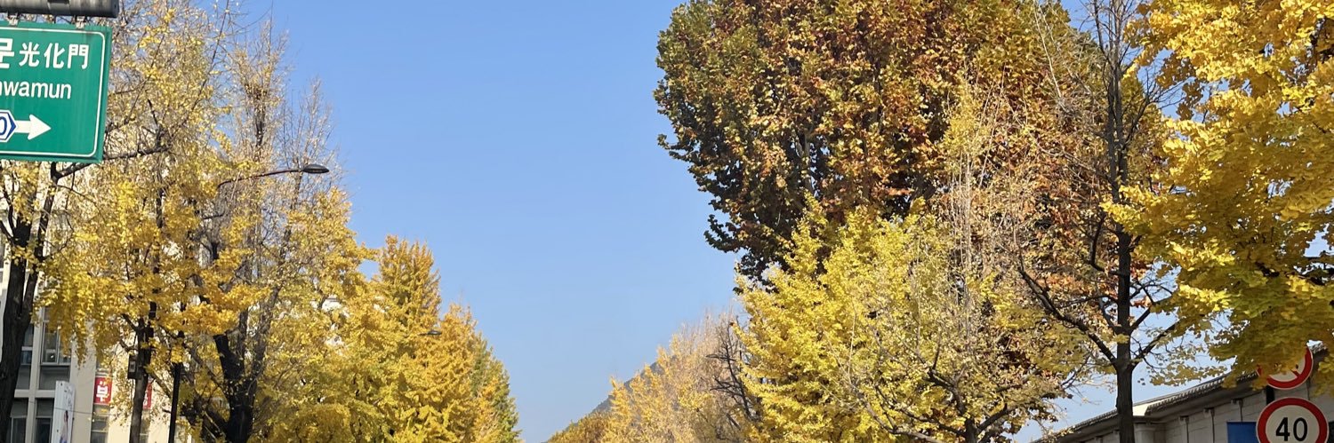 septyarma's profile banner image