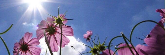 MrsDenaBennett's profile banner image