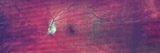 xtiandanger's profile banner image
