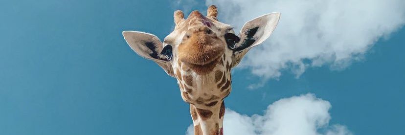 Anny_mal16's profile banner image