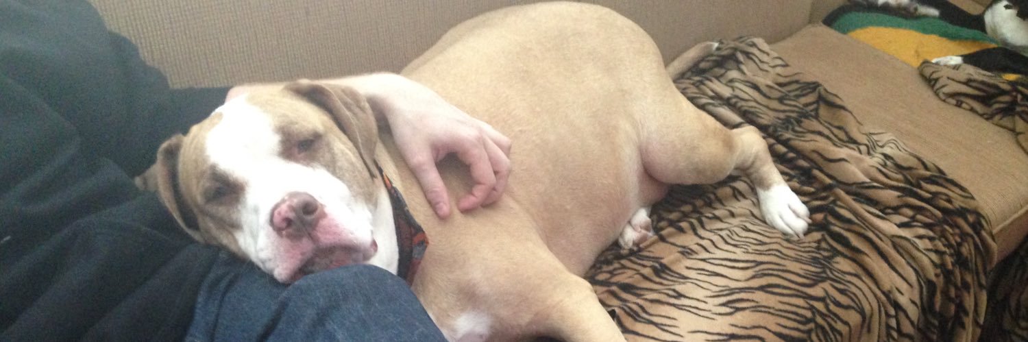 Mark Revalee , MBA banner