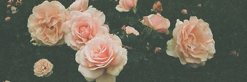 deannamaraXO's profile banner image