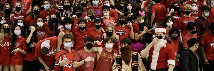 Woodson Cavalry banner