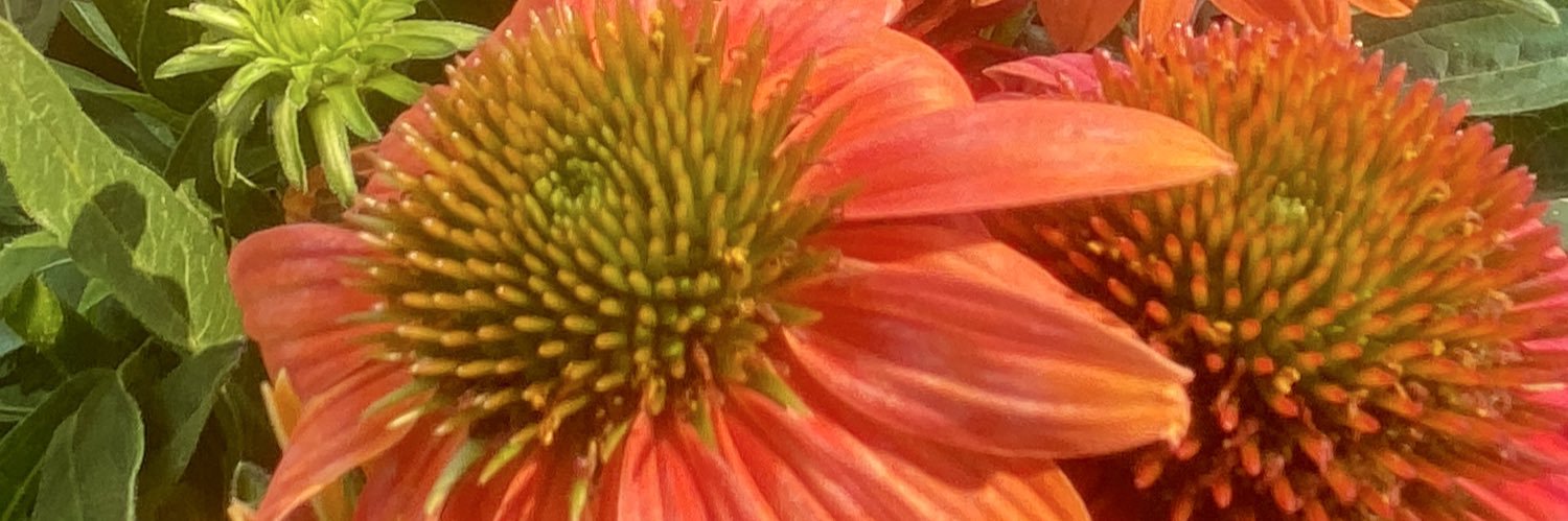 watchinggrass's profile banner image
