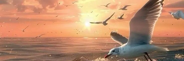 tratil_harf's profile banner image