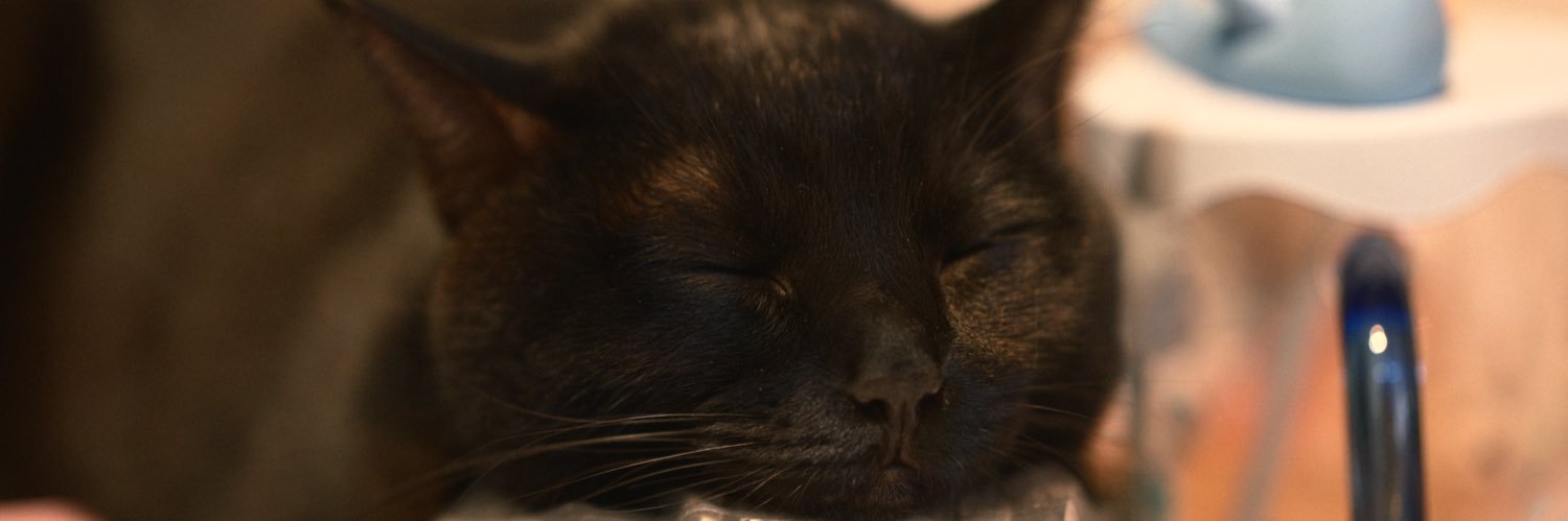 LEttby WF2026W 5-06-06 banner