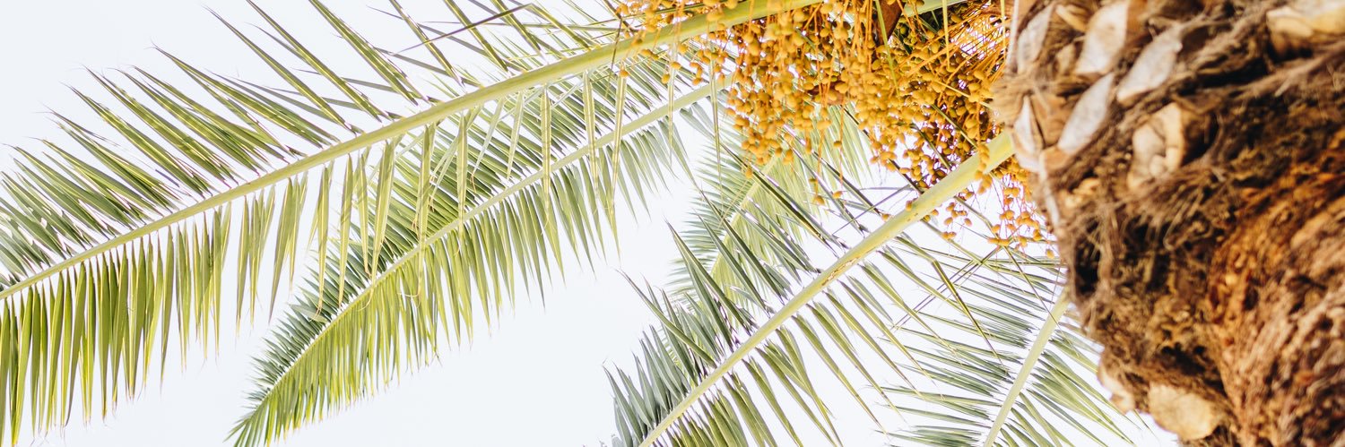 HanBan_3's profile banner image