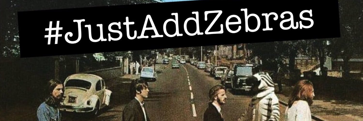 Las Cebras de La Paz banner