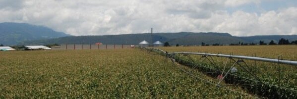 Inforuralcommx's profile banner image