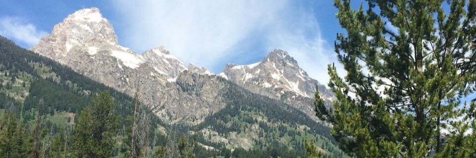 Joseph_Petry_IL's profile banner image