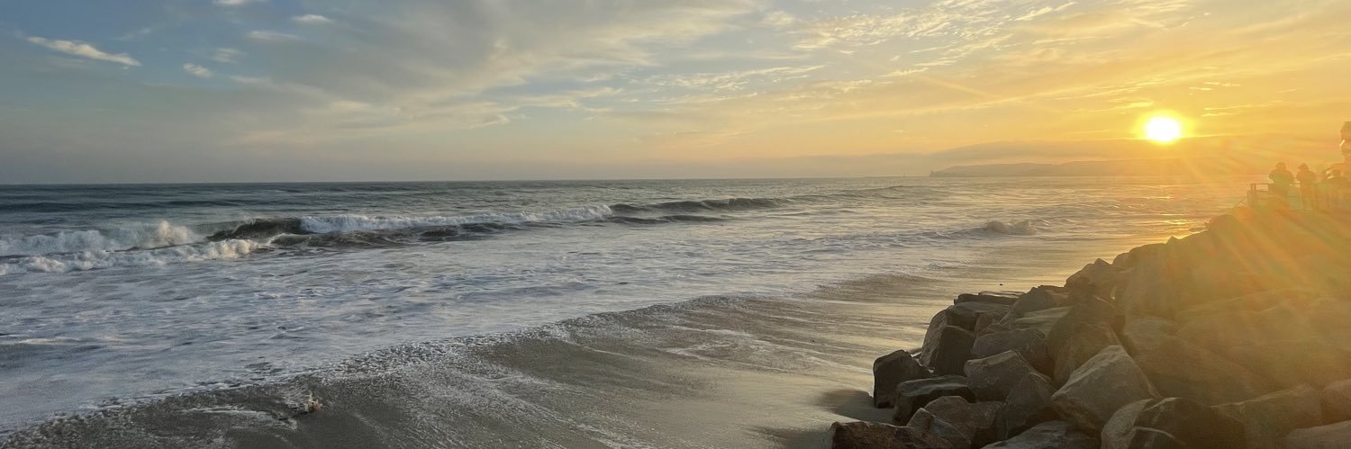 Lindsay Snow, PhD banner